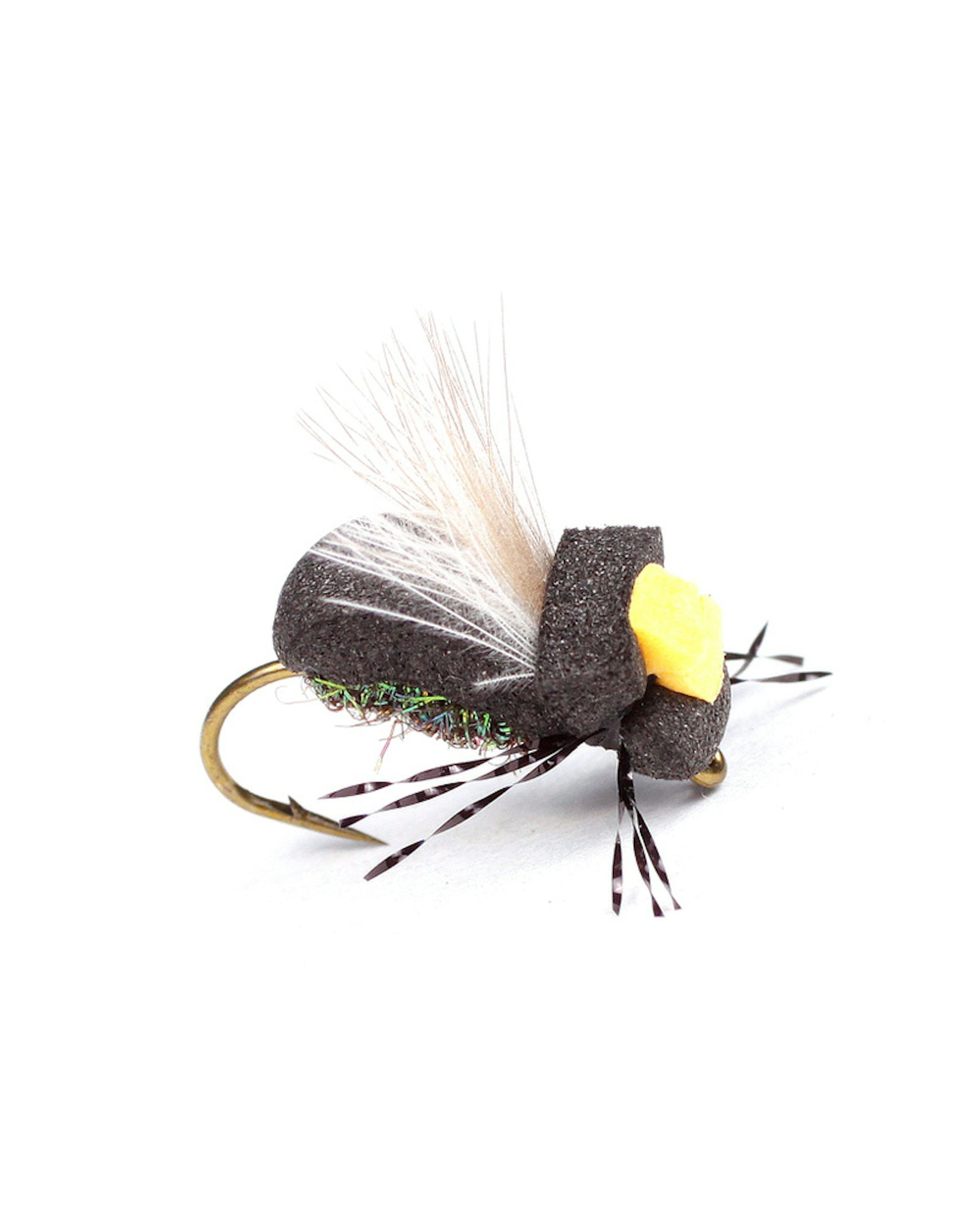 High-Viz Peacock Beetle
