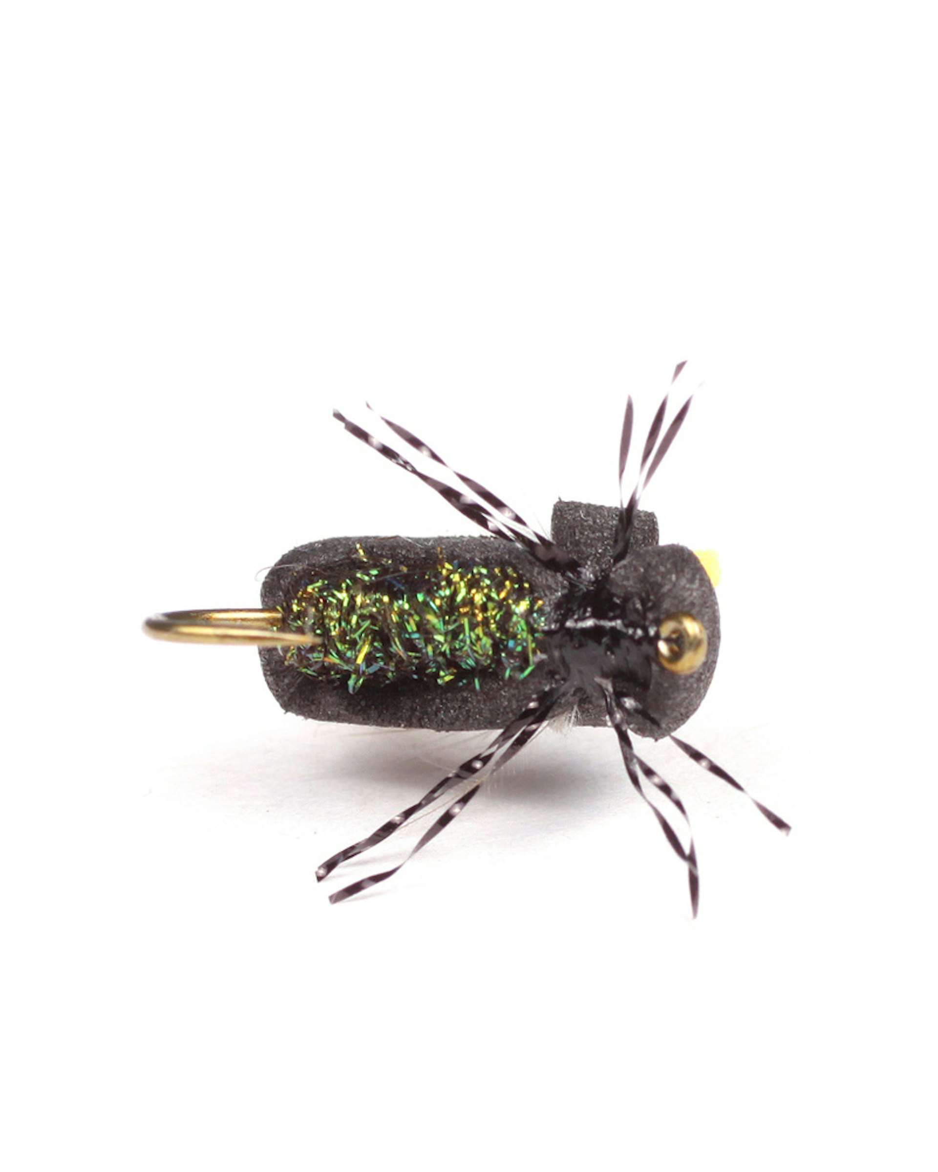 High-Viz Peacock Beetle