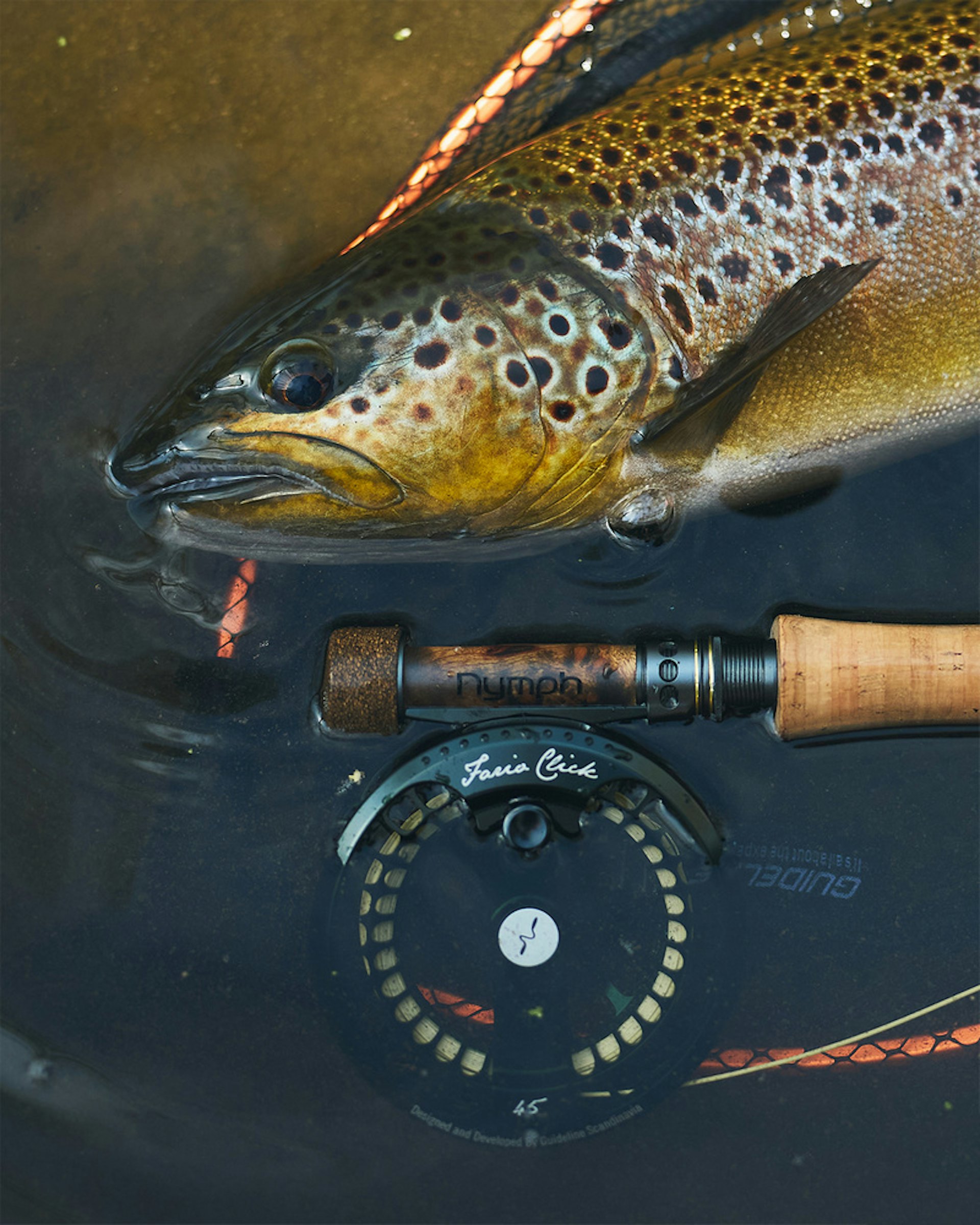 Euro Nymph Competition