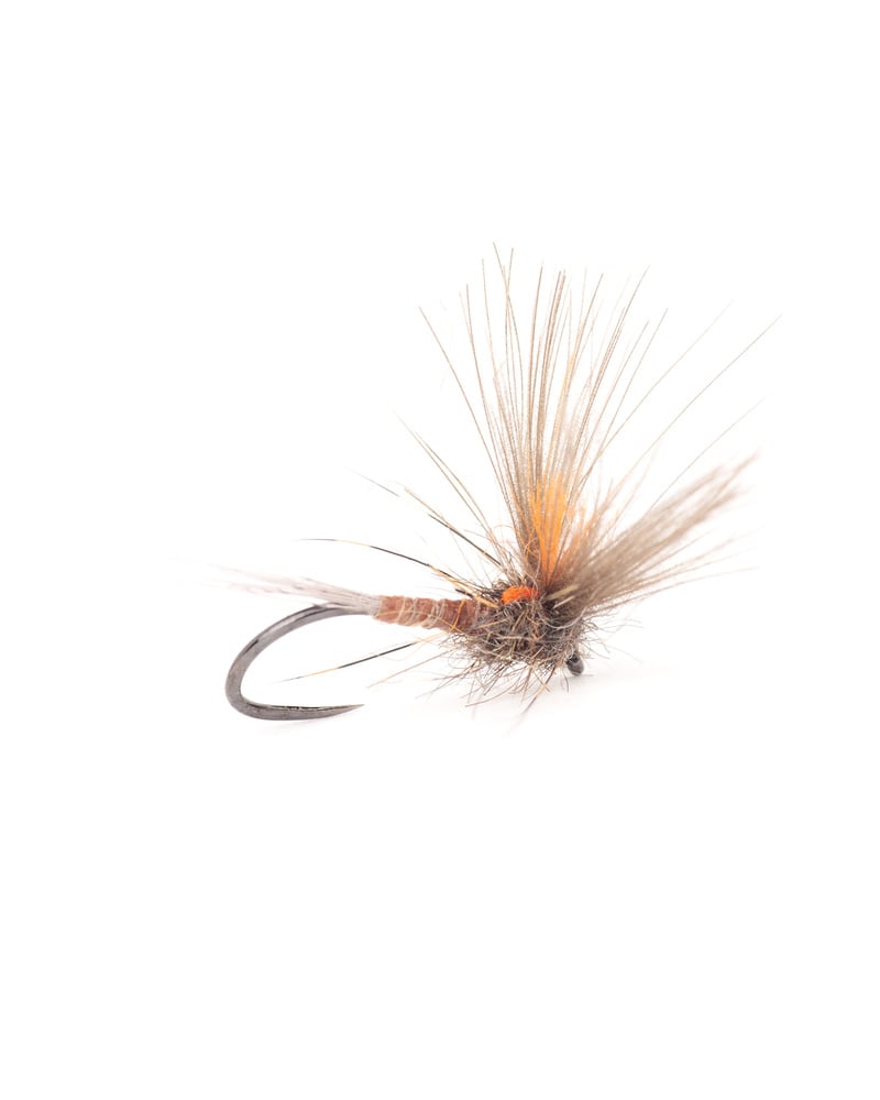 Split Wing Dun – Golden Olive