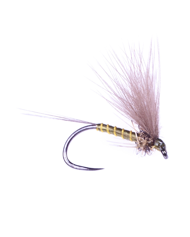 F-Dun Olive-LDO (bild 1 av 1)