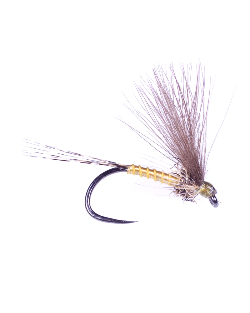 F-Dun Pale Olive - Ignita