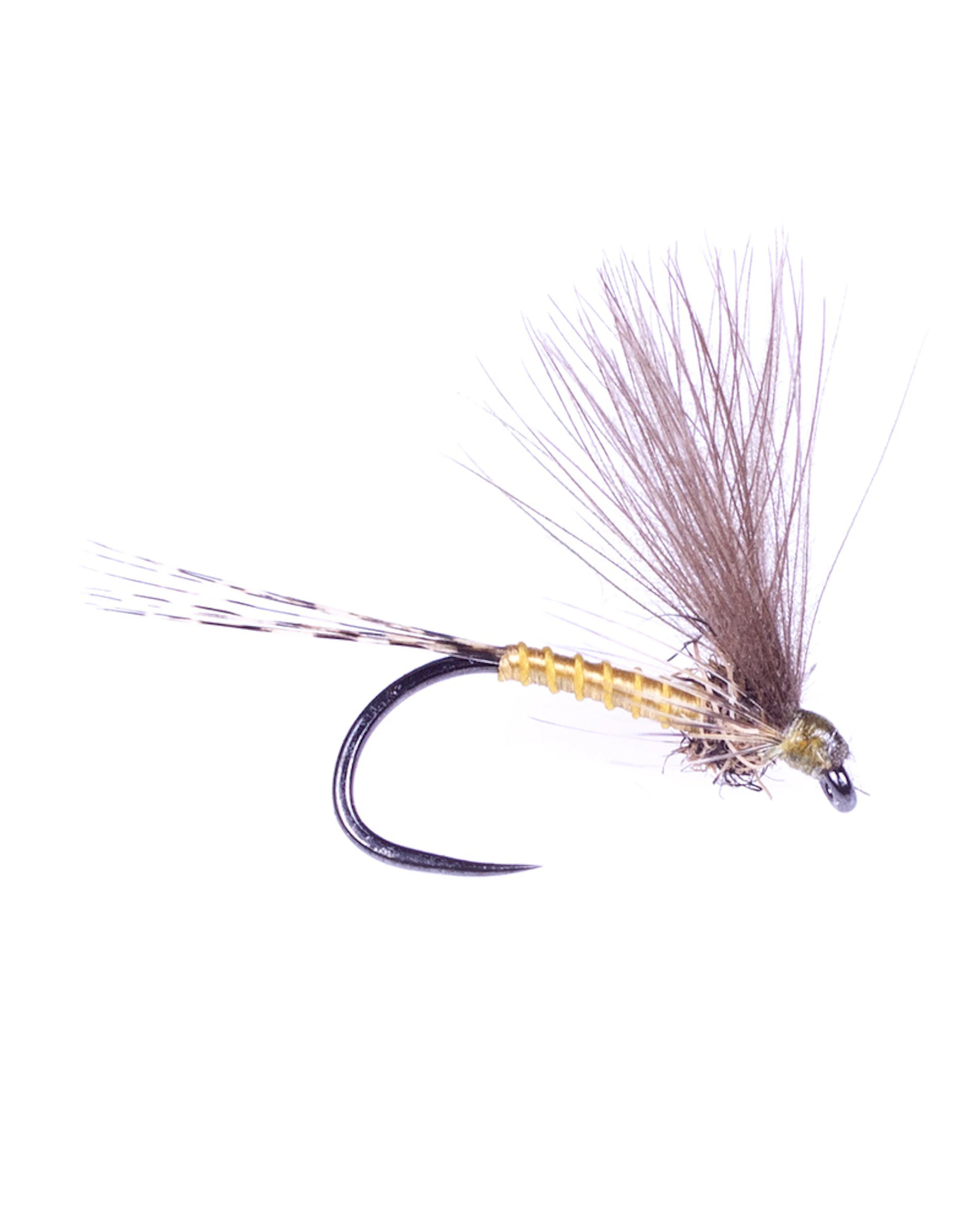 F-Dun Pale Olive - Ignita