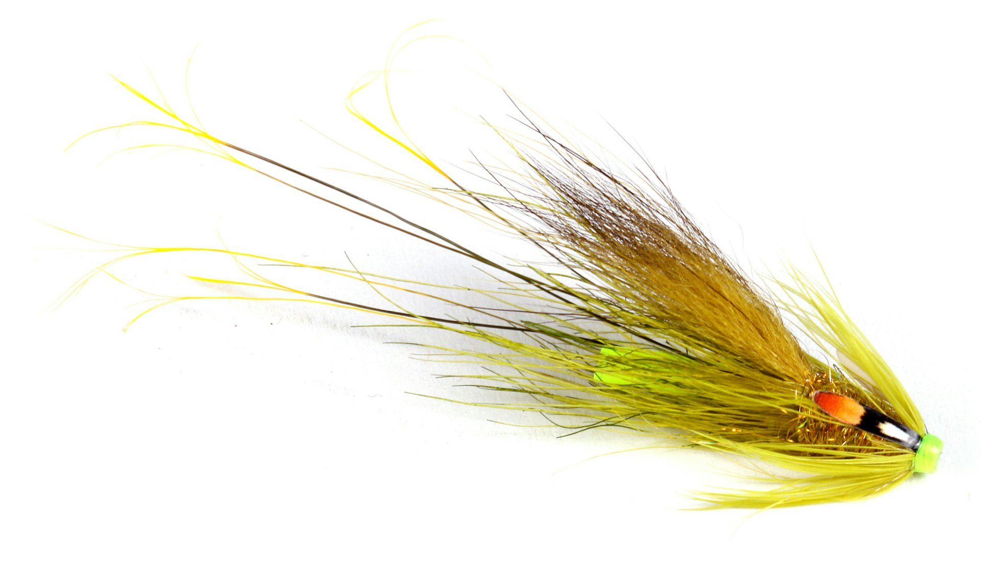 HA Boliven Pig Fluo