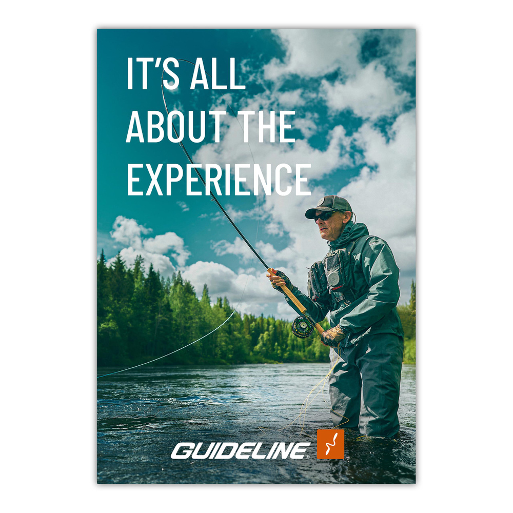 Shop Display - POSTER Wide - DH (bilde 1 av 1)