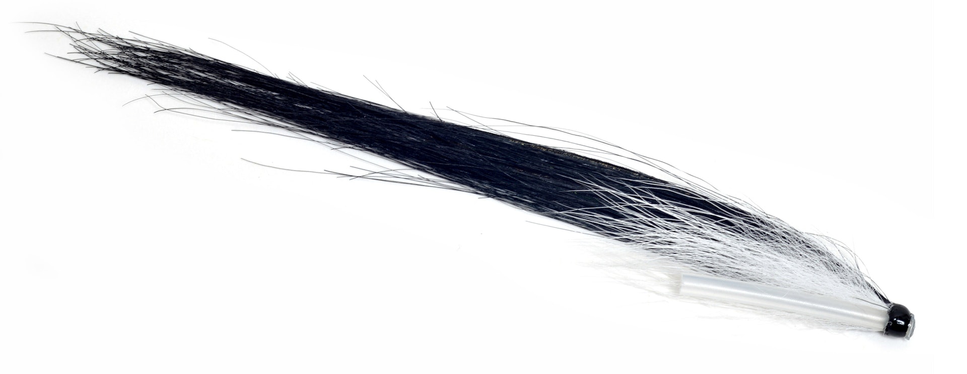 Sunray White Underwing 9 cm (bilde 1 av 1)