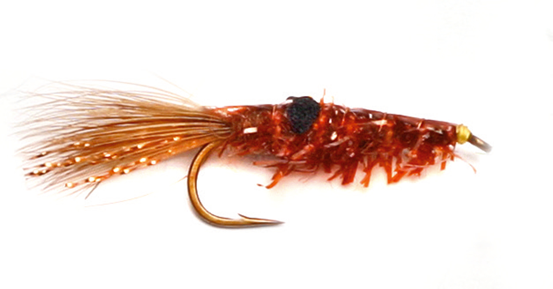 Copper Shrimp #8