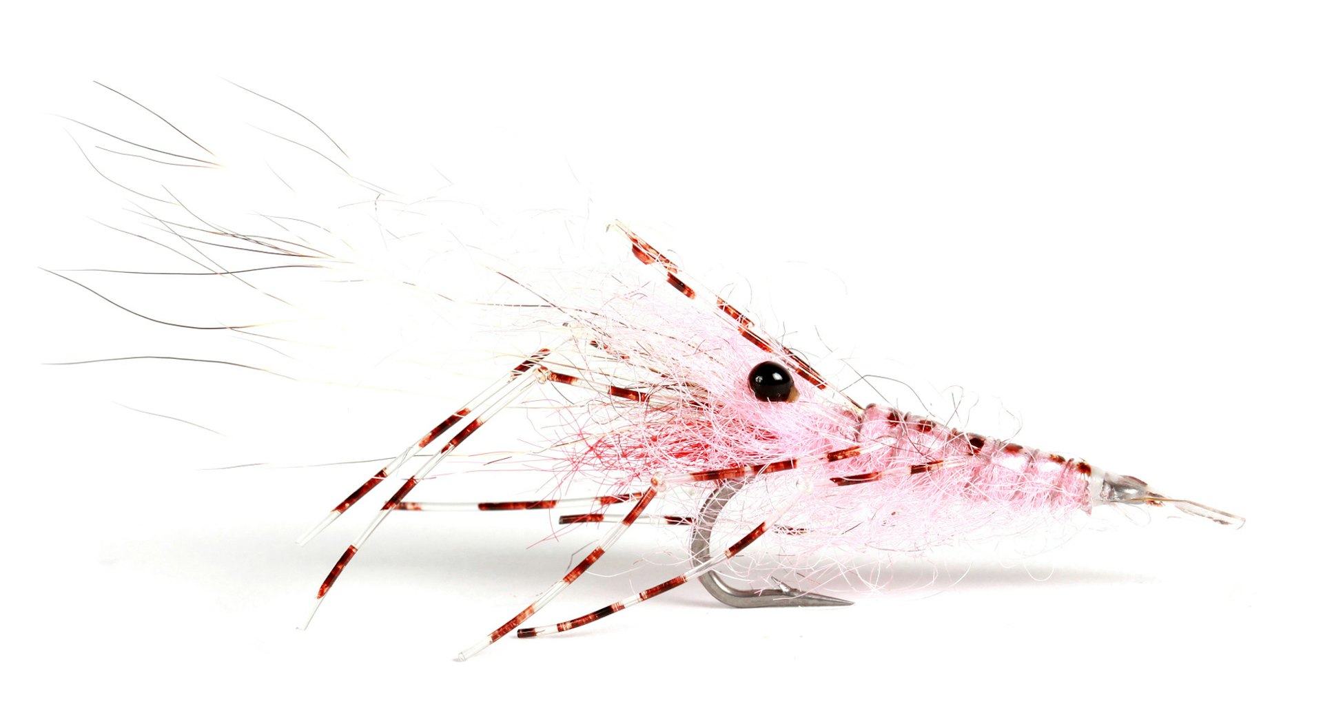 Leoshrimp Pink #6 (bilde 1 av 1)