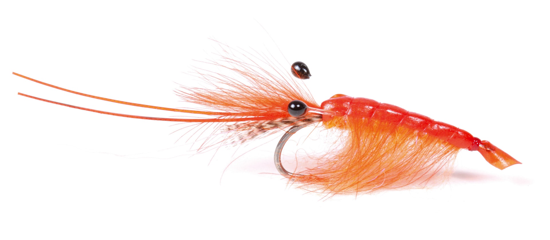 Orange CDC Shrimp #6 (bilde 1 av 1)