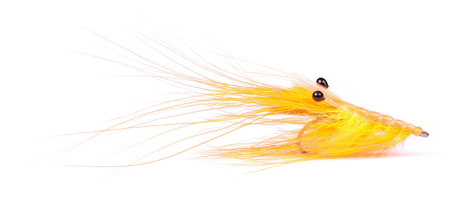 Pattegrisen Orange #4 (slide 1 of 1)