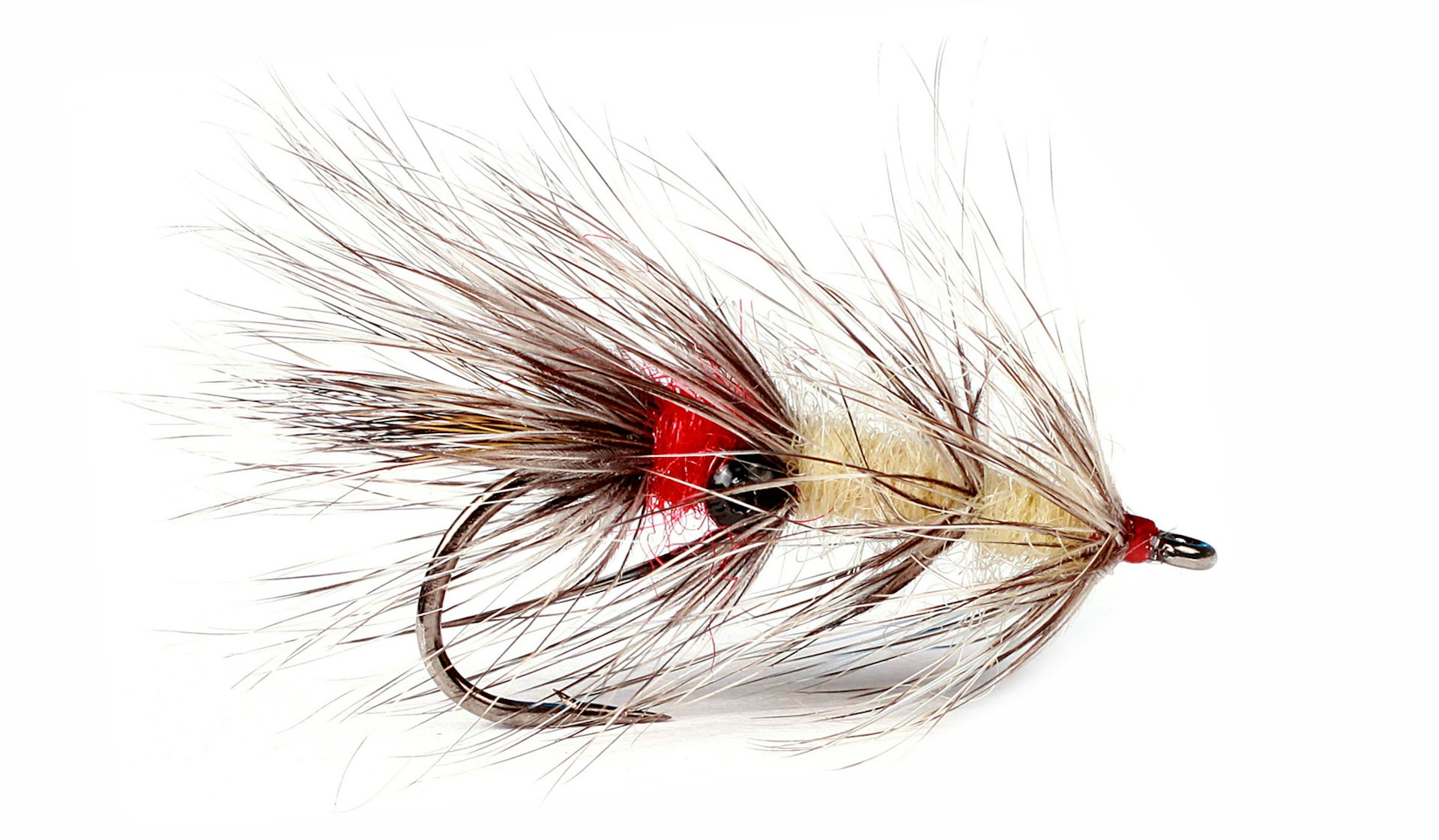 Vaskebjørn #8 (bilde 1 av 1)