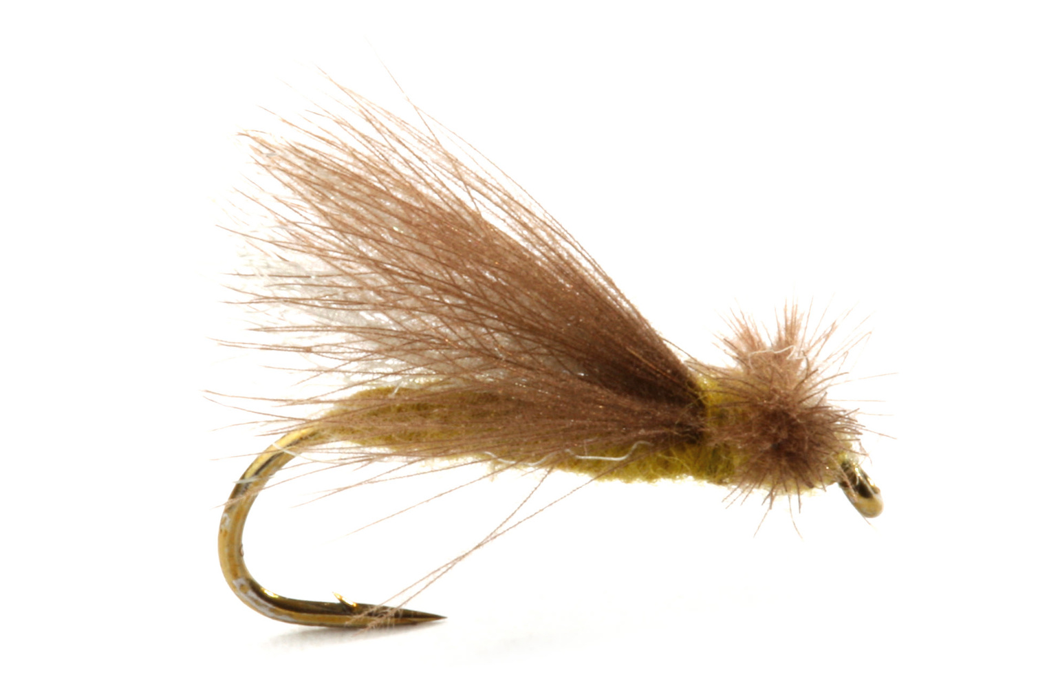 CDC Caddis Adult Olive