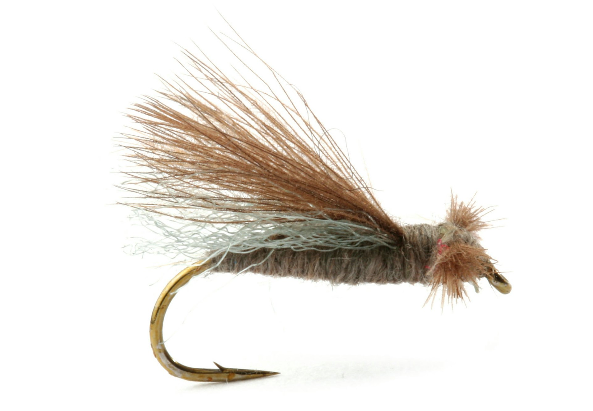 CDC Elk Caddis Olive