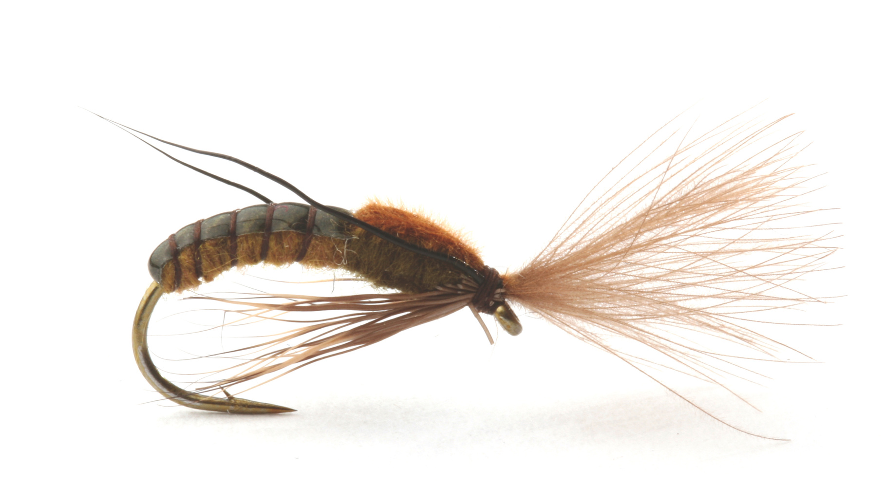 Super Emerging Caddis Brown/Olive