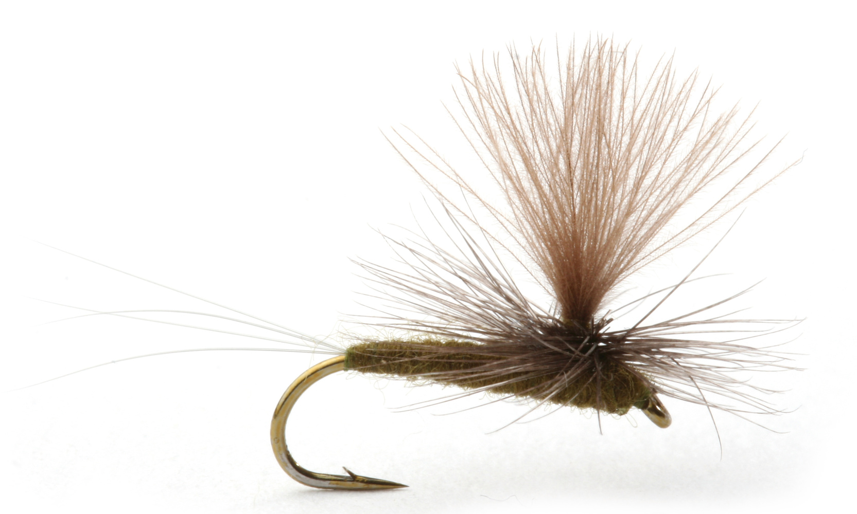 Baetis Dark Olive #14 (bilde 1 av 1)