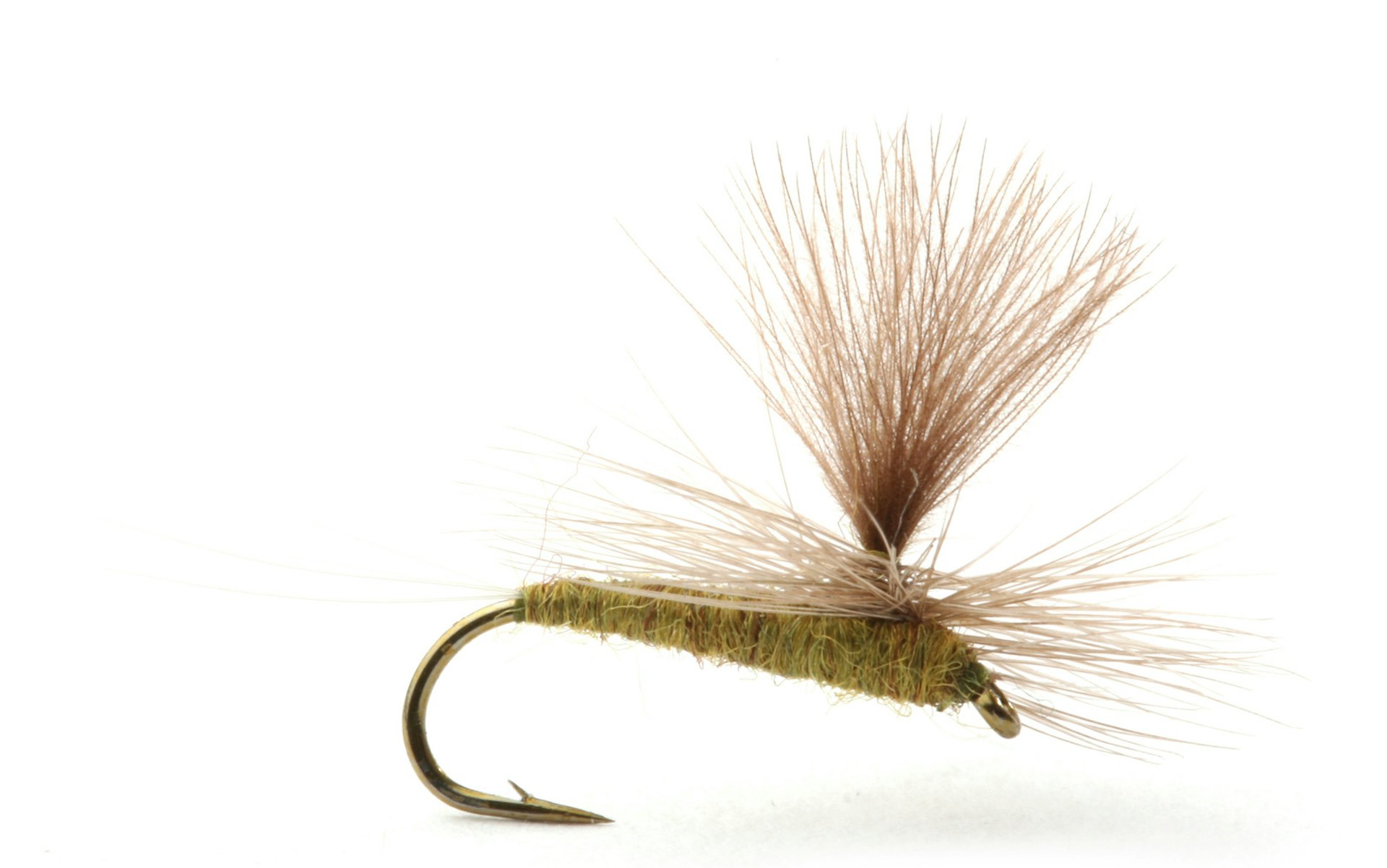 Baetis Medium Olive
