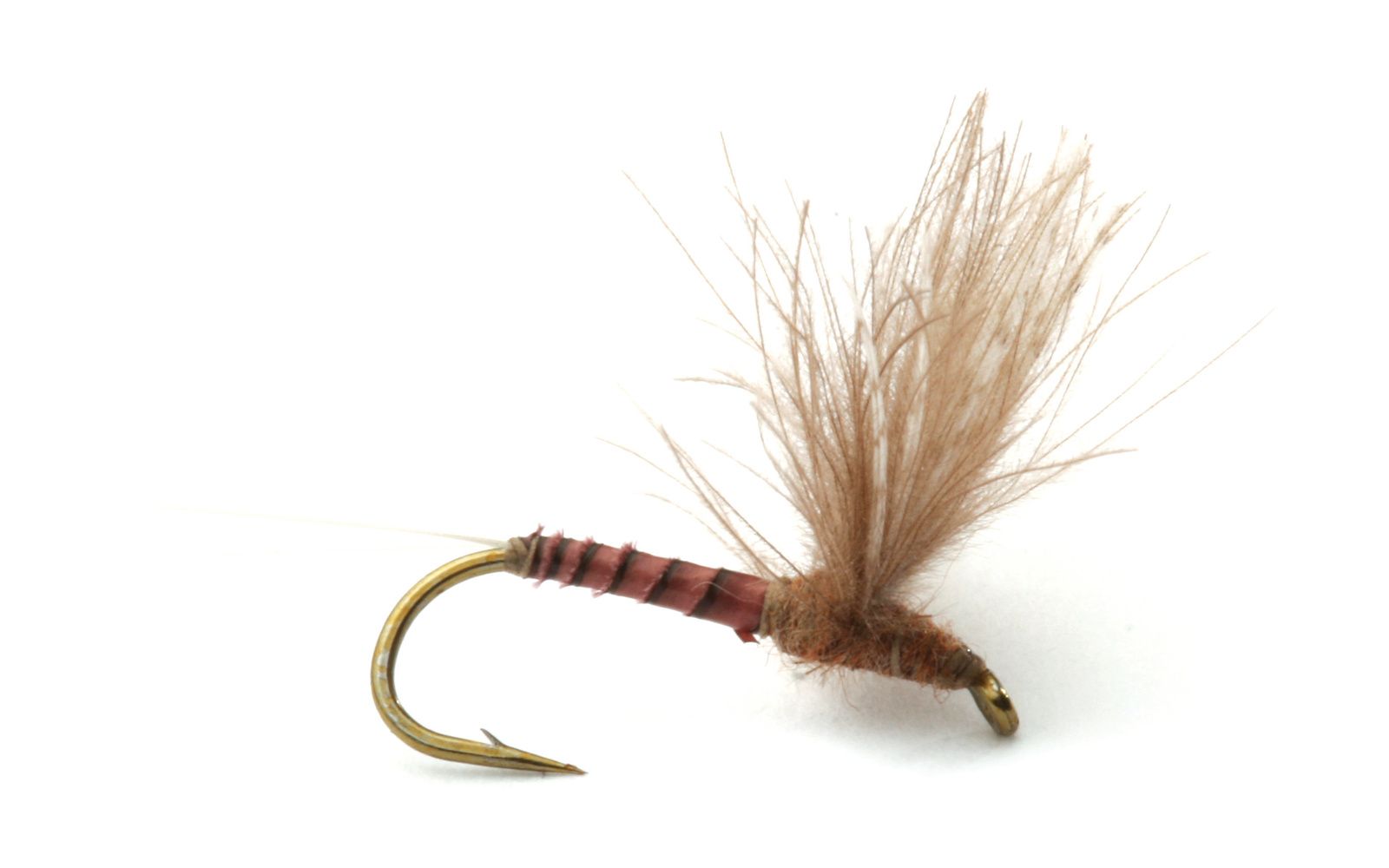 CDC Biot Comparadun Quill Gordon