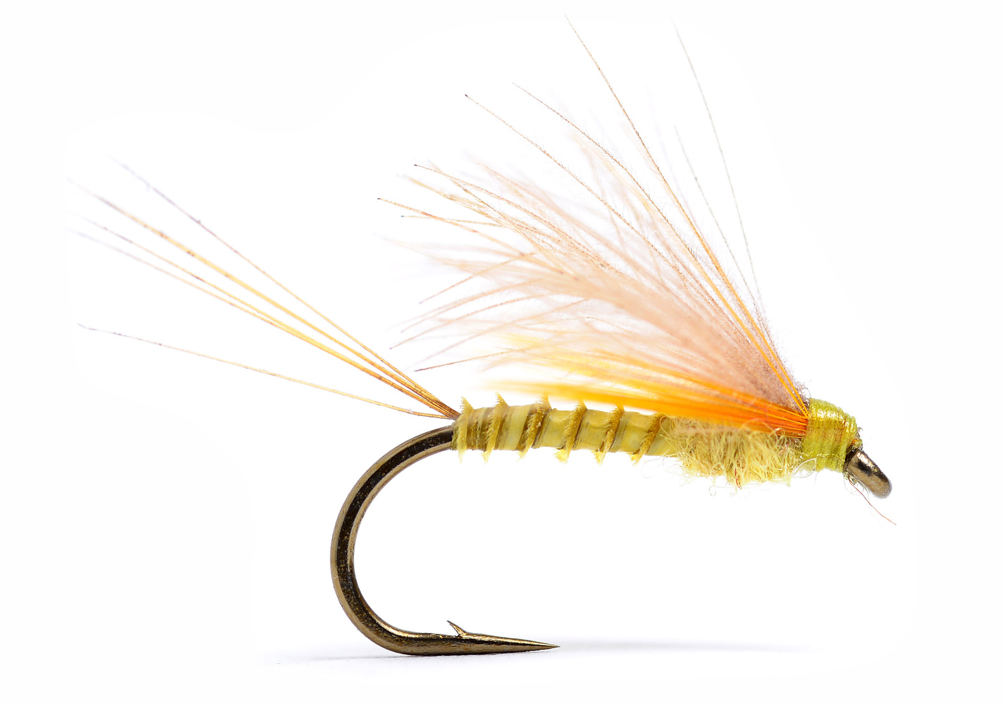 Cdc Biot Dun Emerger PMD