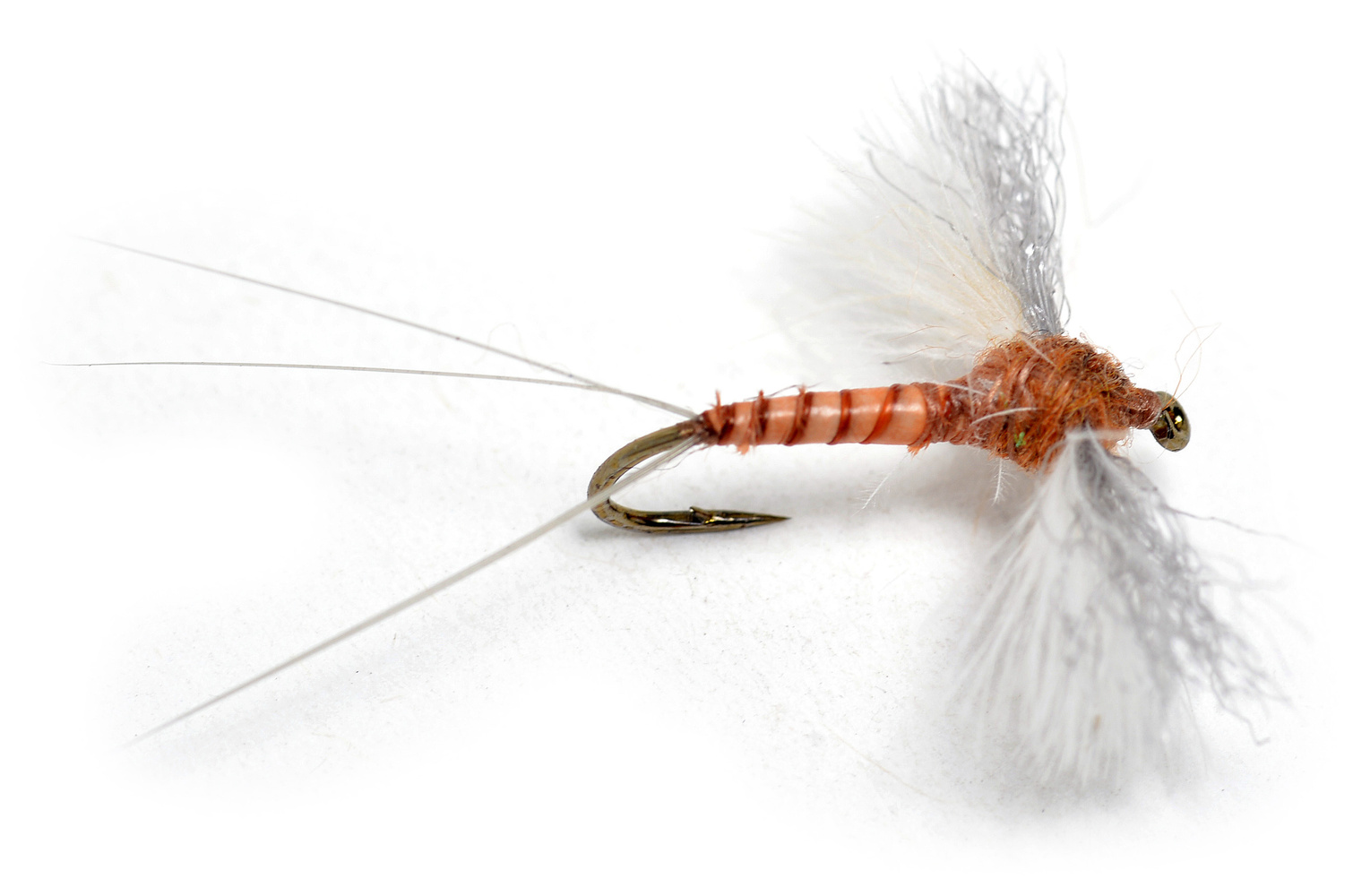 CDC Biot Spinner Rusty