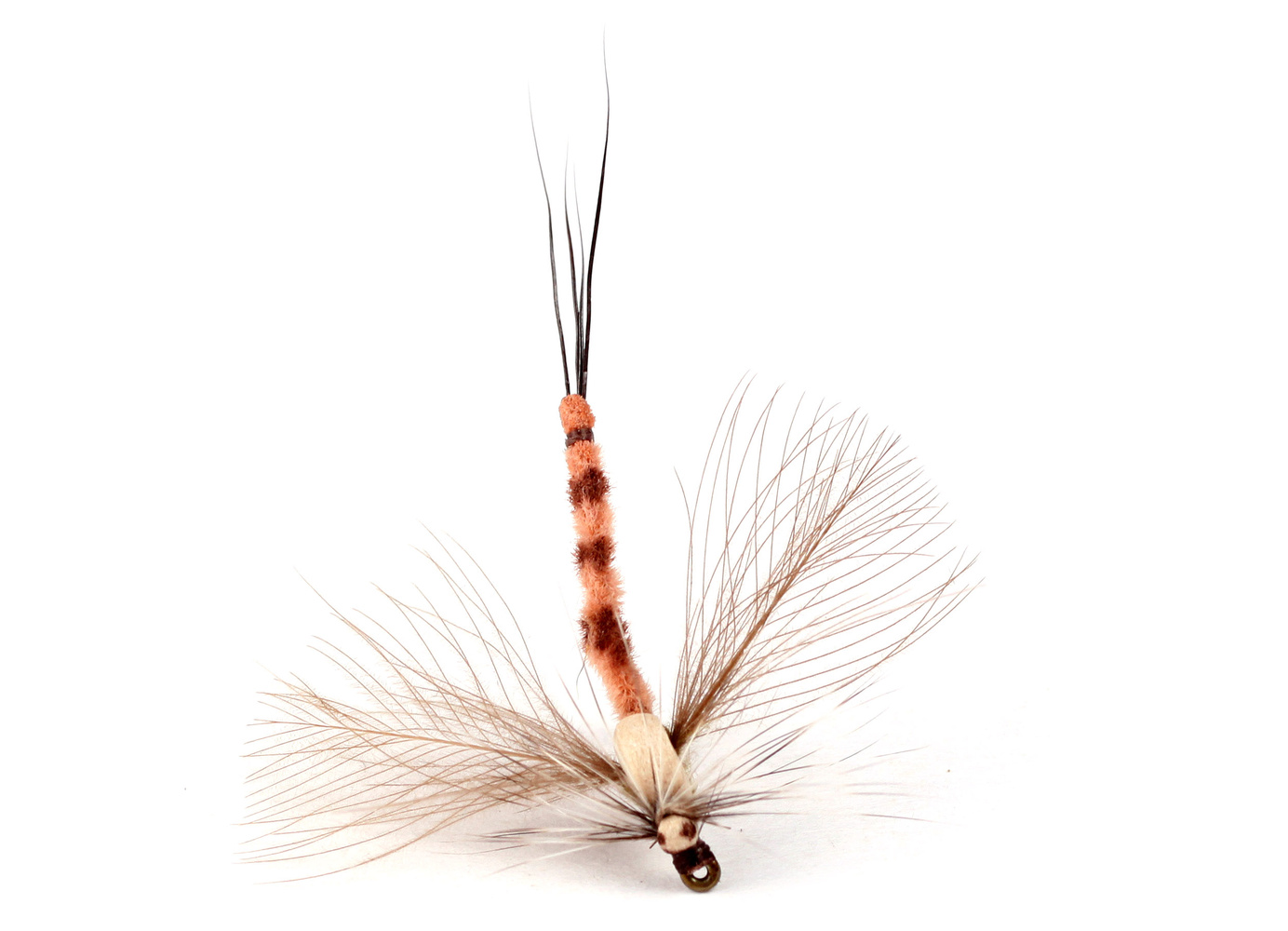 GL Danica Spent Spinner #10 (slide 1 of 1)