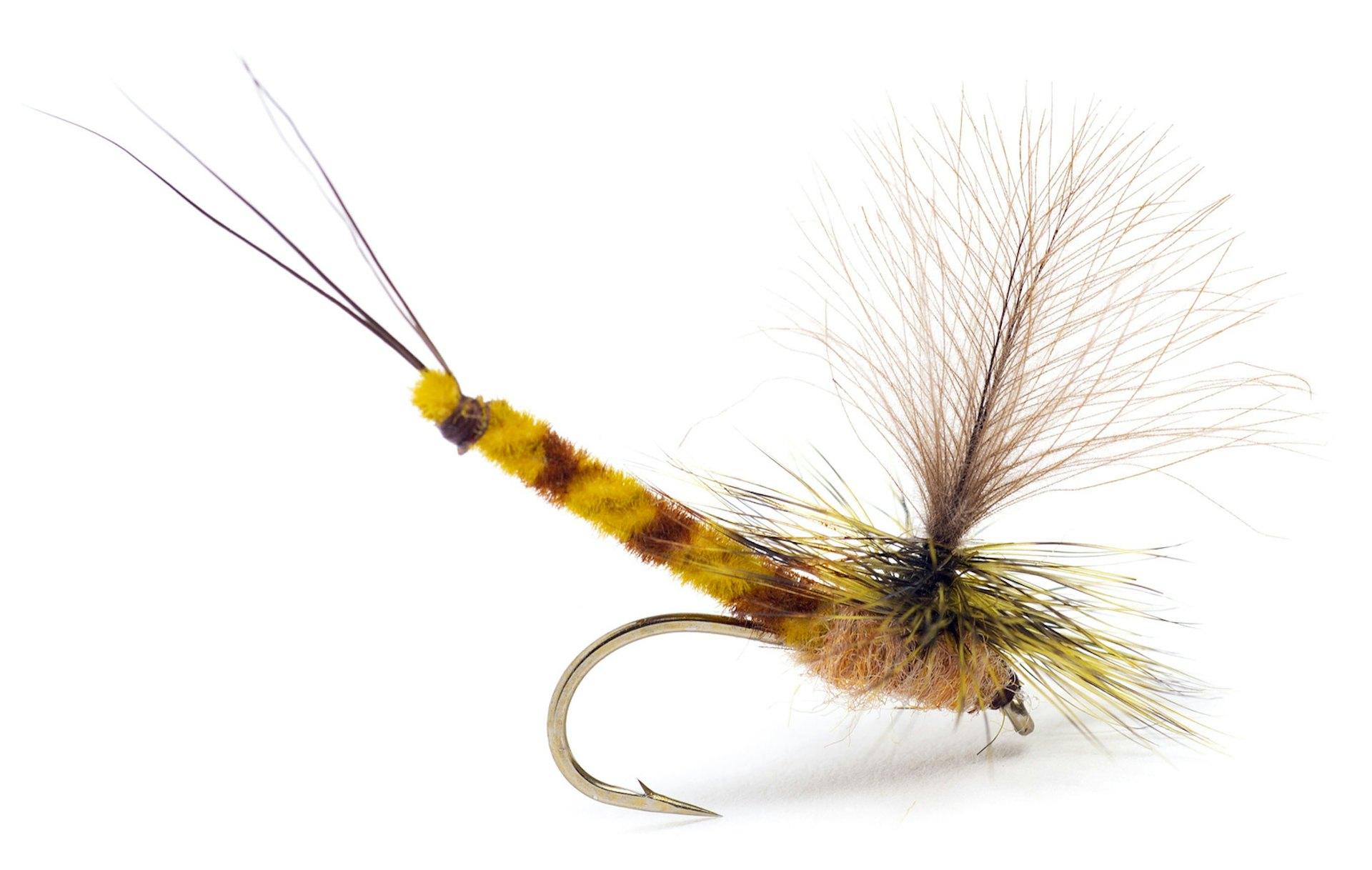 GL Vulgata Dun #10 (bild 1 av 1)