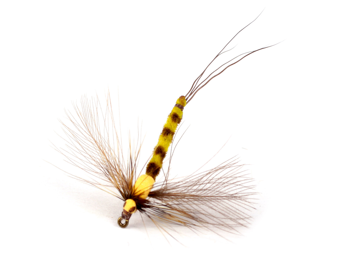 GL Vulgata Spent Spinner #10