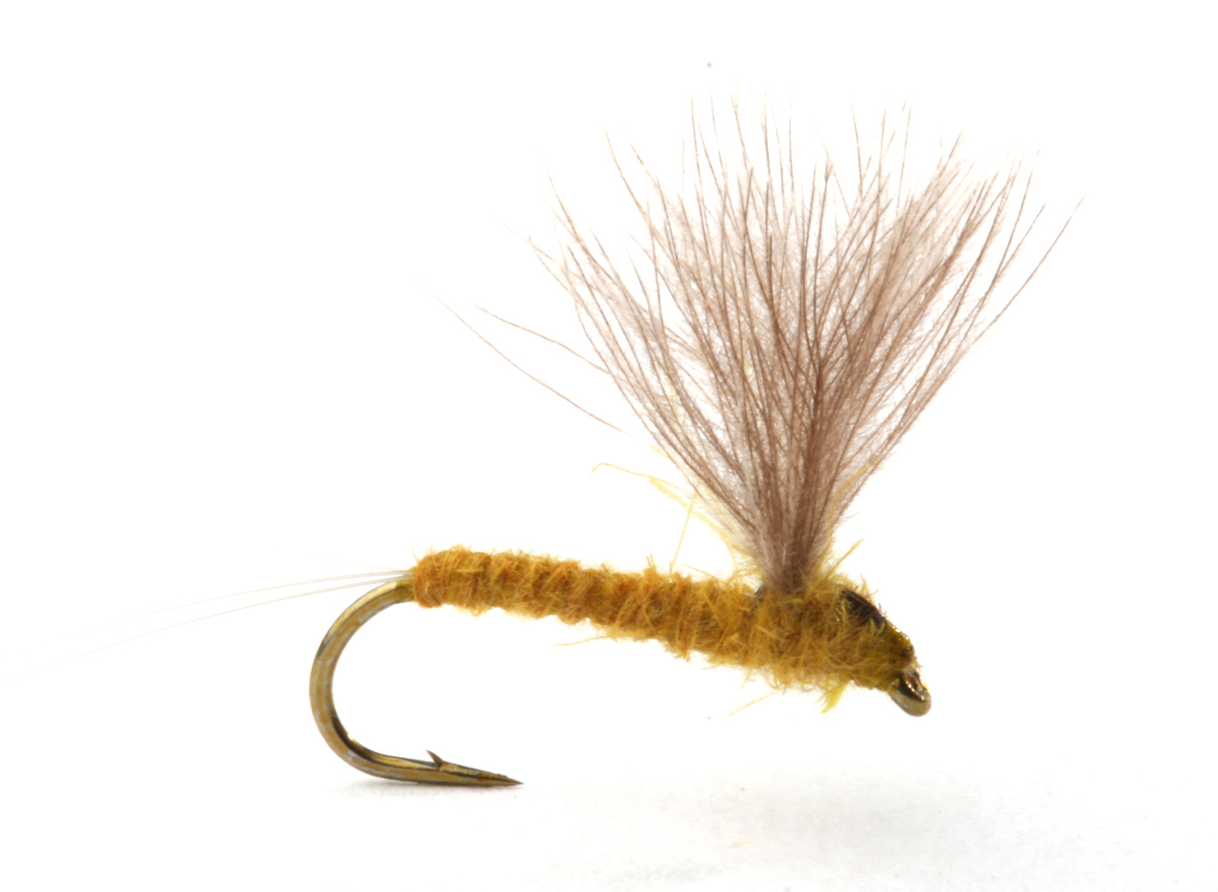 Runes CDC Nohackle Lt. Olive