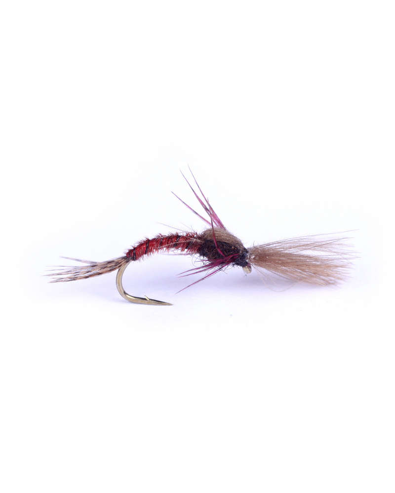 Shuttlecock Emerger Lepto
