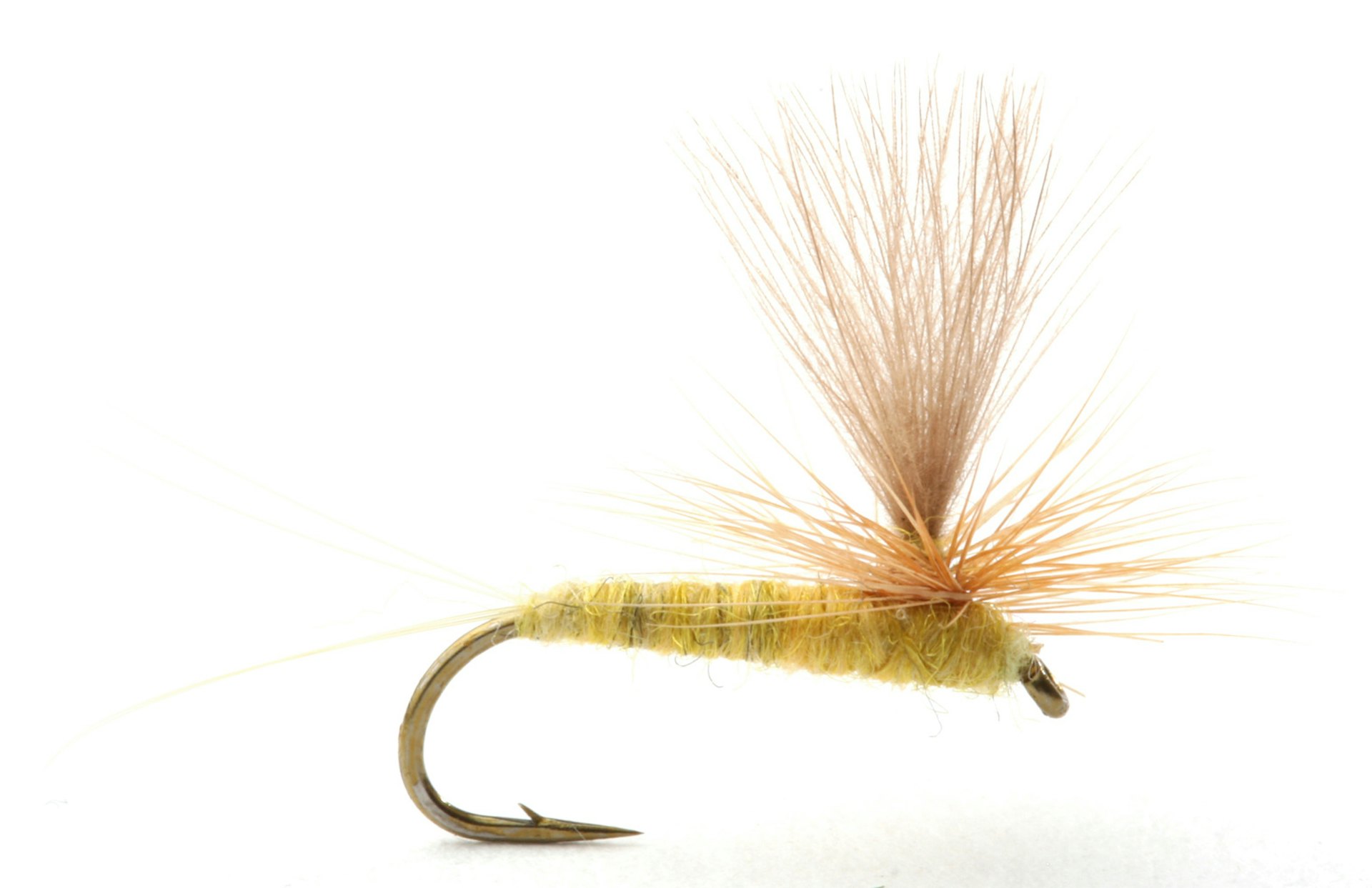 Sulphurea #12