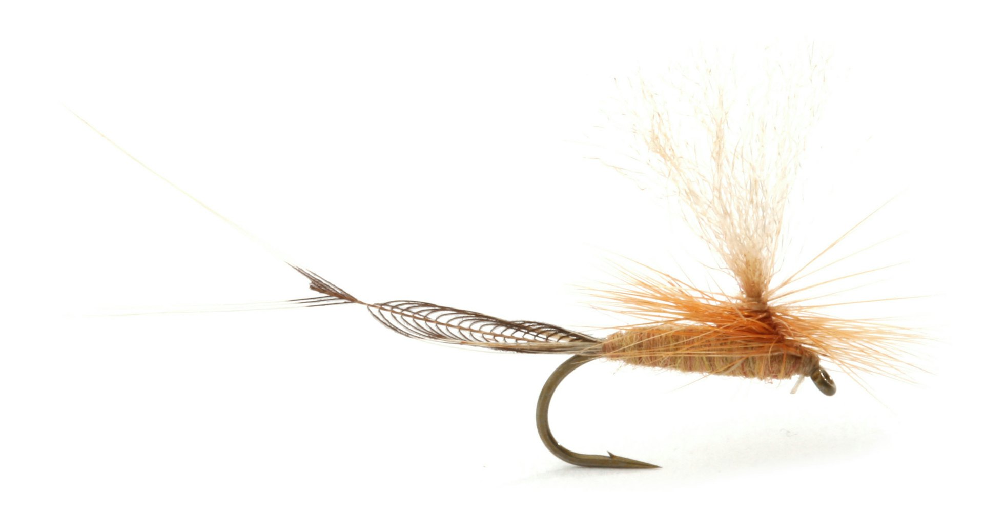 Vulgata #10 (bild 1 av 1)