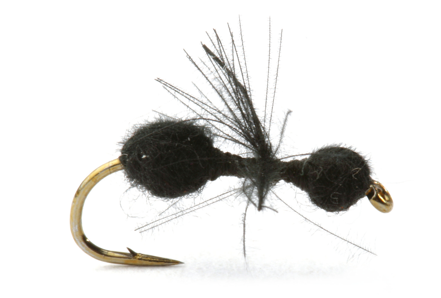 CDC Black Ant