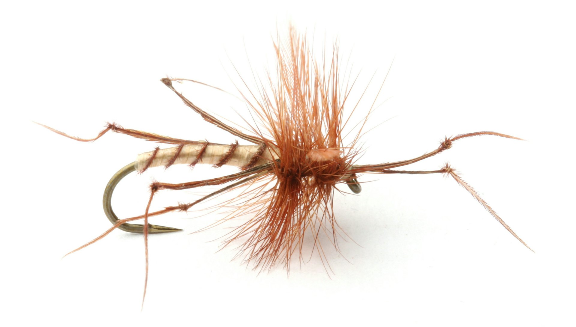 Daddy Long Legs #10 (bilde 1 av 1)