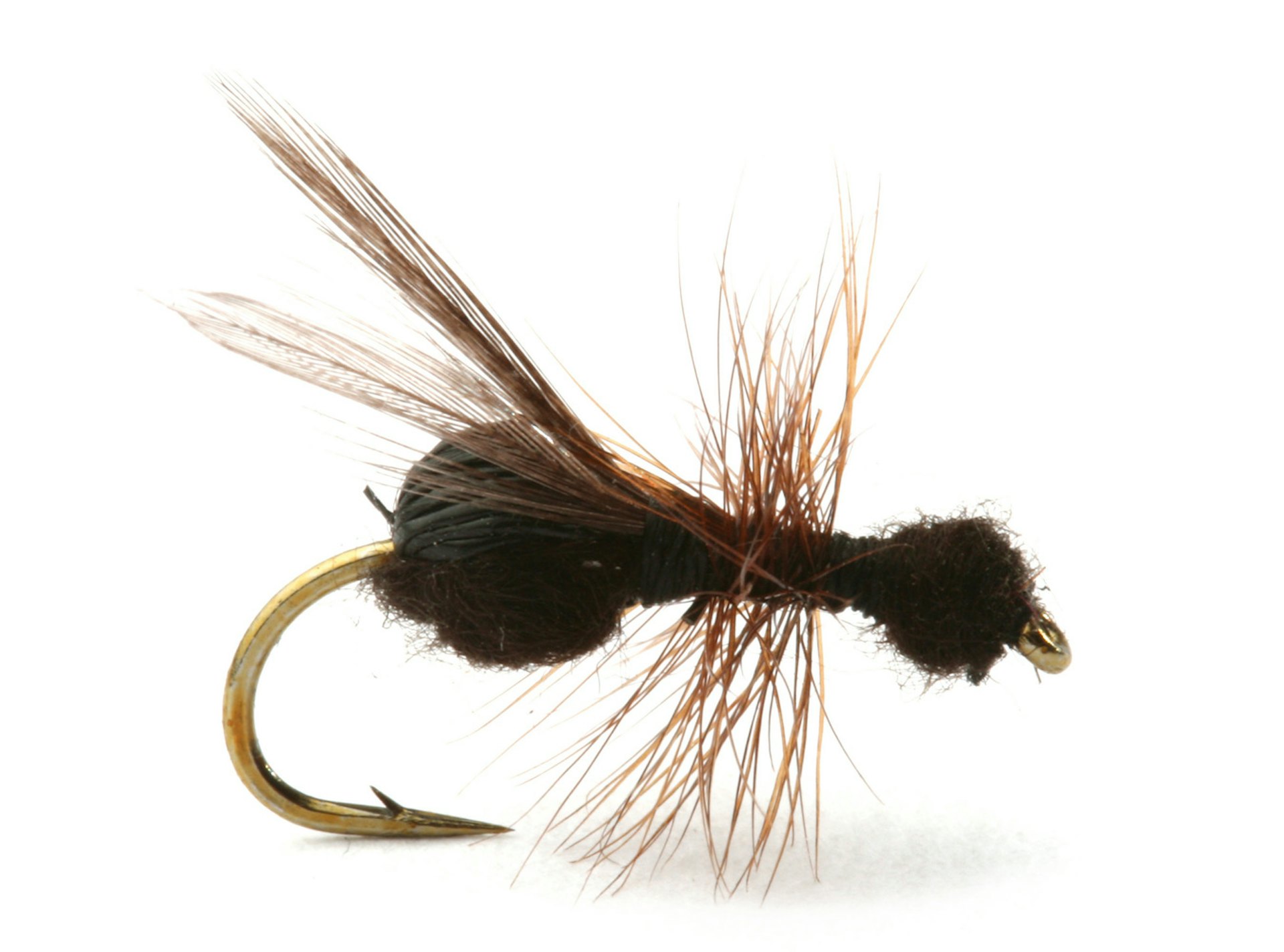 Flying Ant Black #16 (bild 1 av 1)