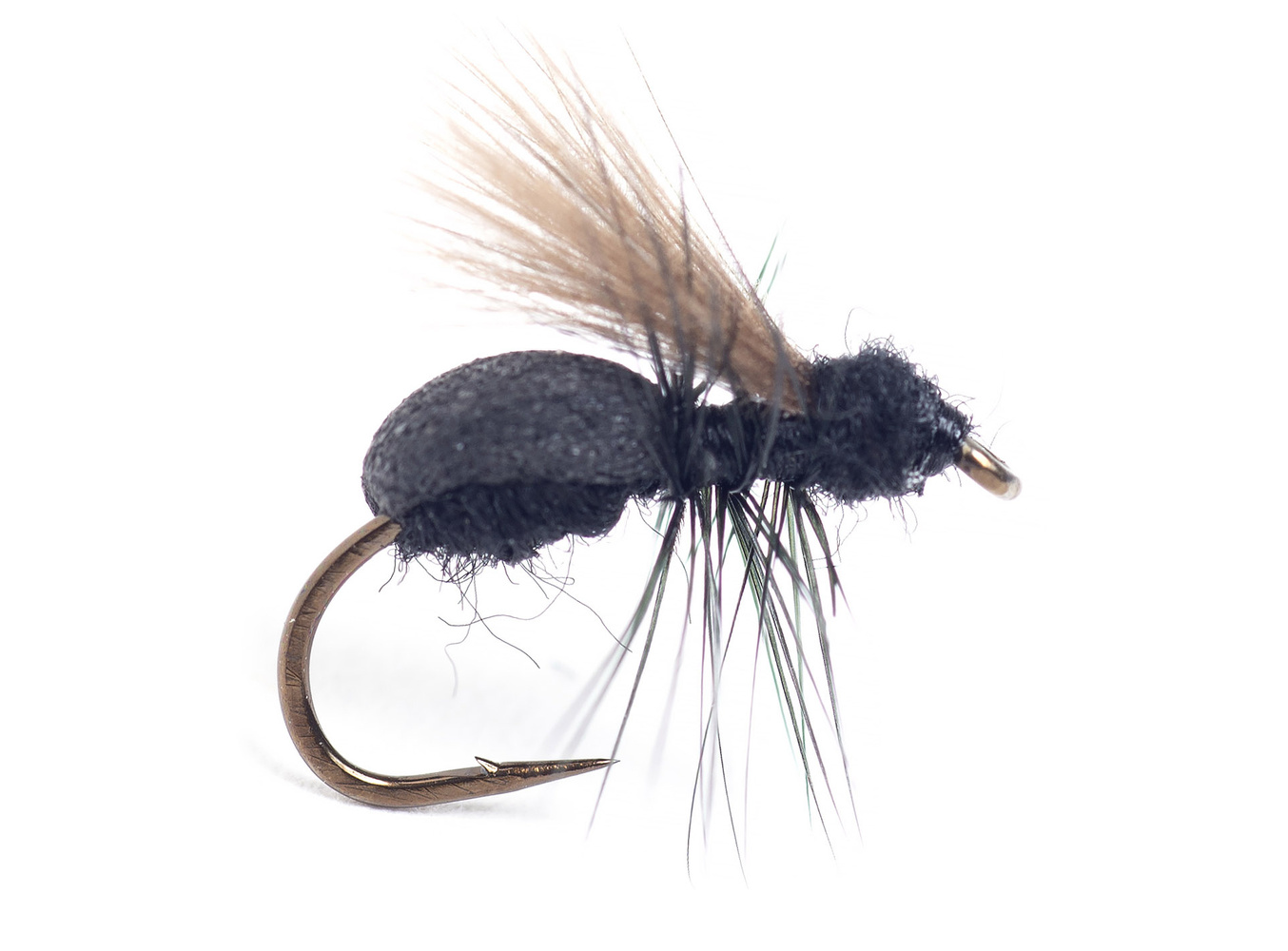 Lasius Flying Ant #14