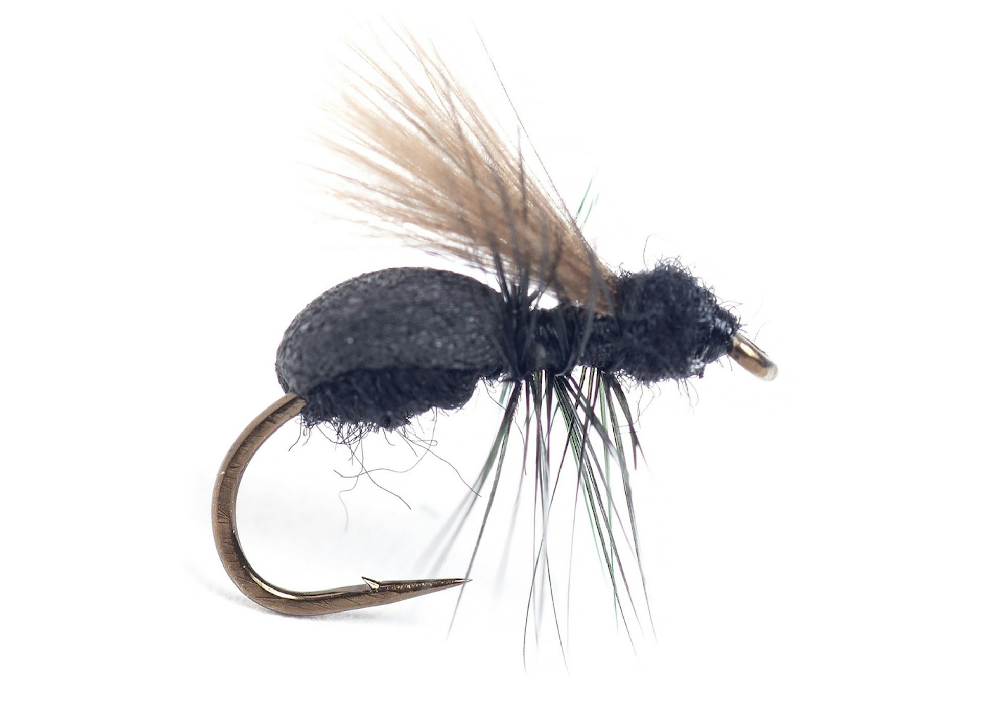 Lasius Flying Ant #14