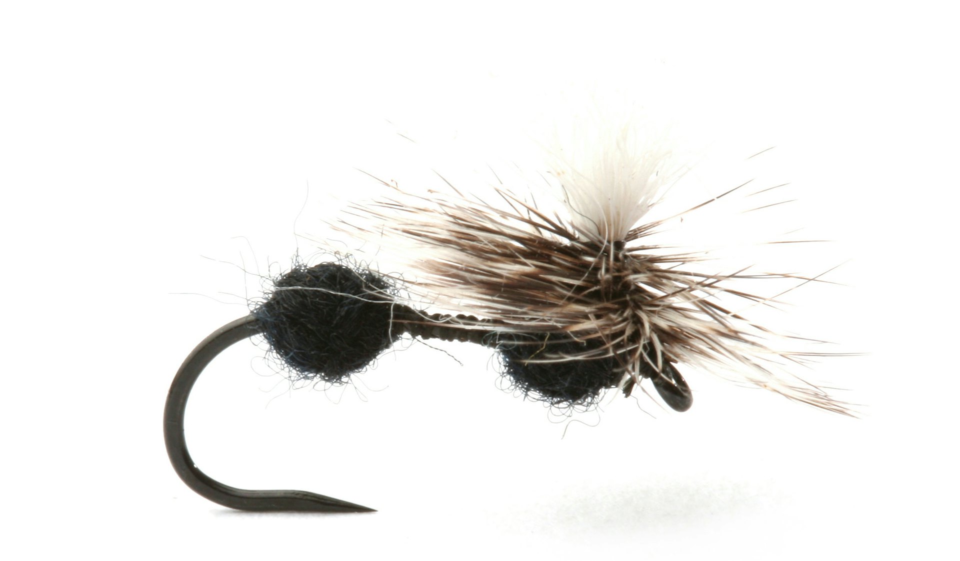 Parachute Ant
