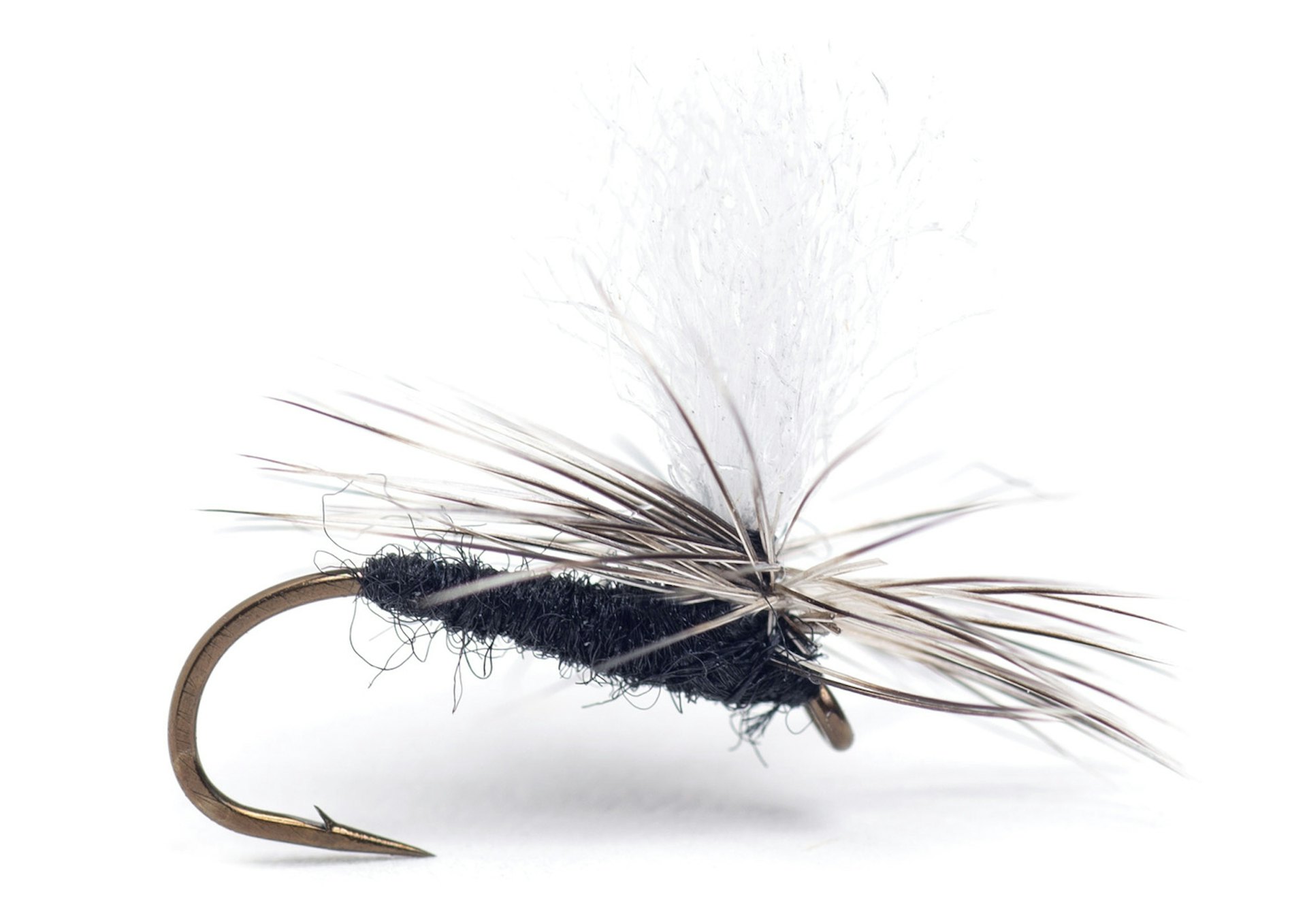 Rena Midge #16 (slide 1 of 1)