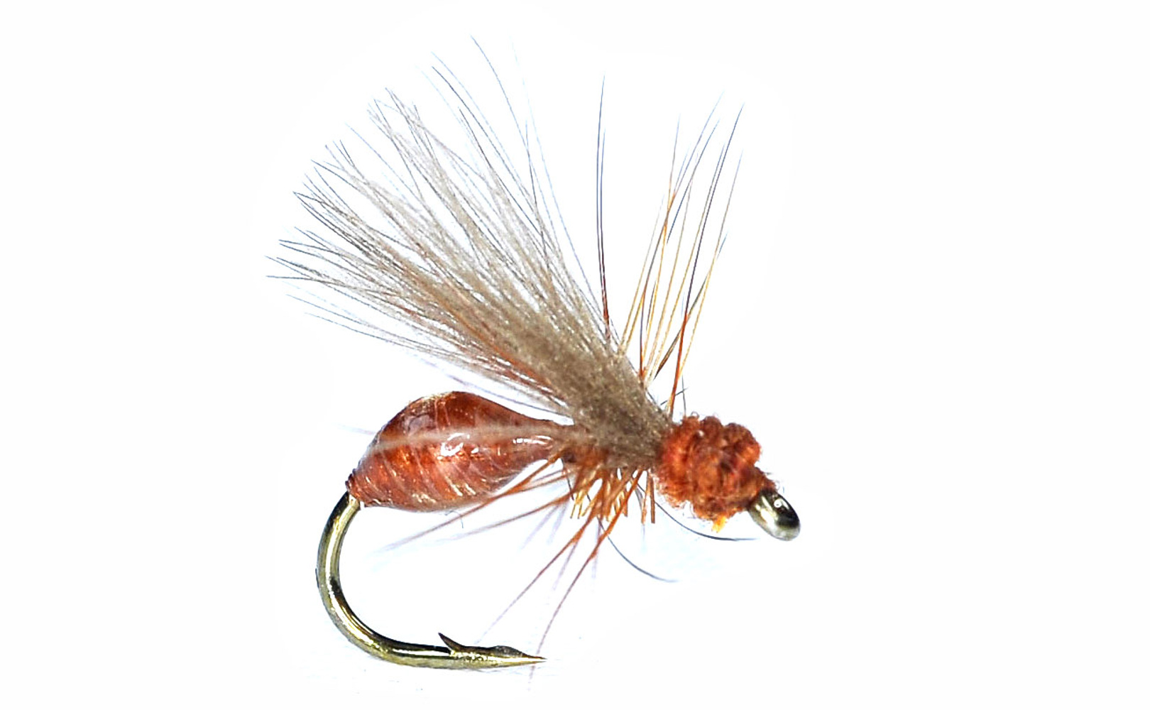 RS Glue Ant Rusty Brown #16 (bilde 1 av 1)