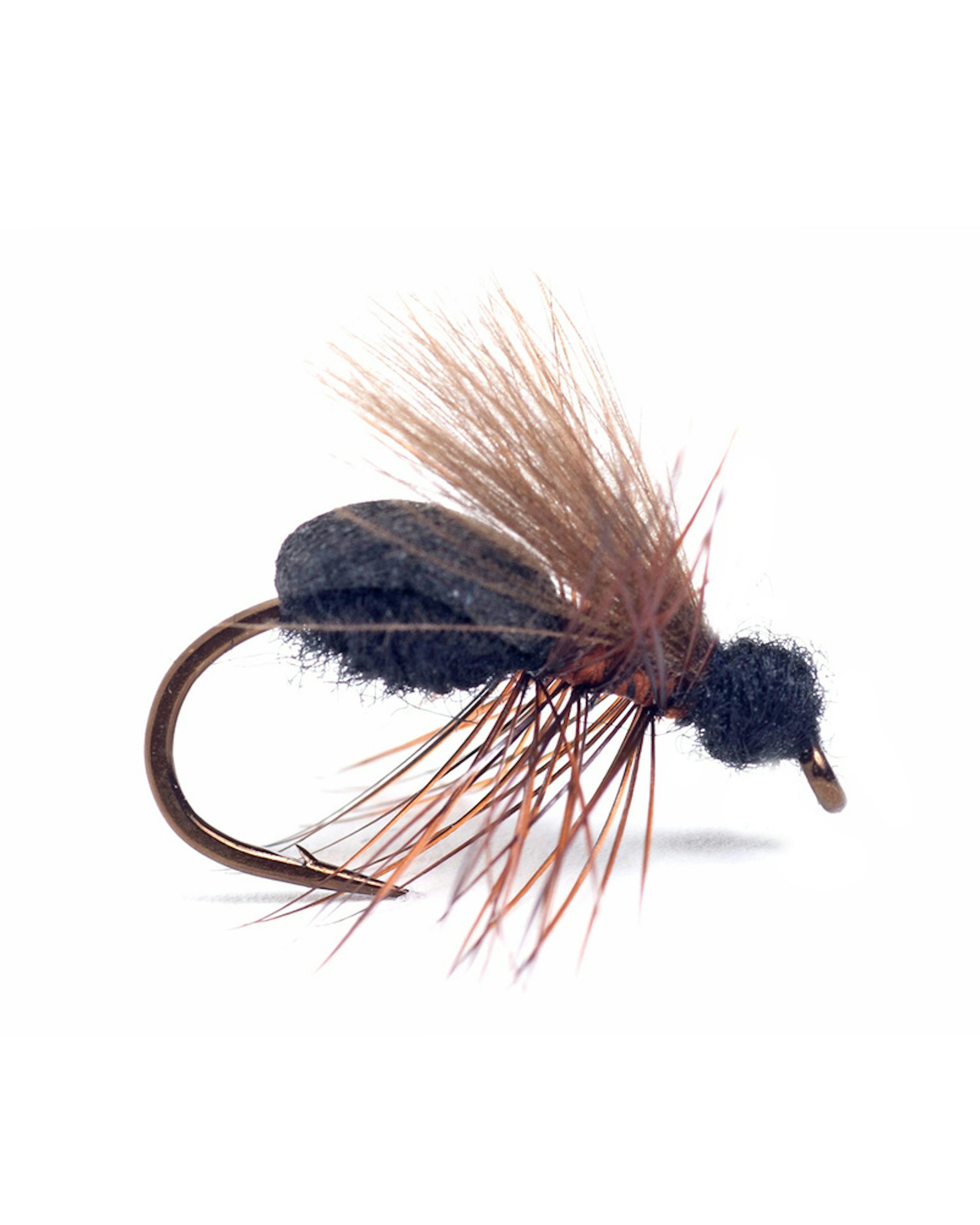 Rufa Flying Ant #12