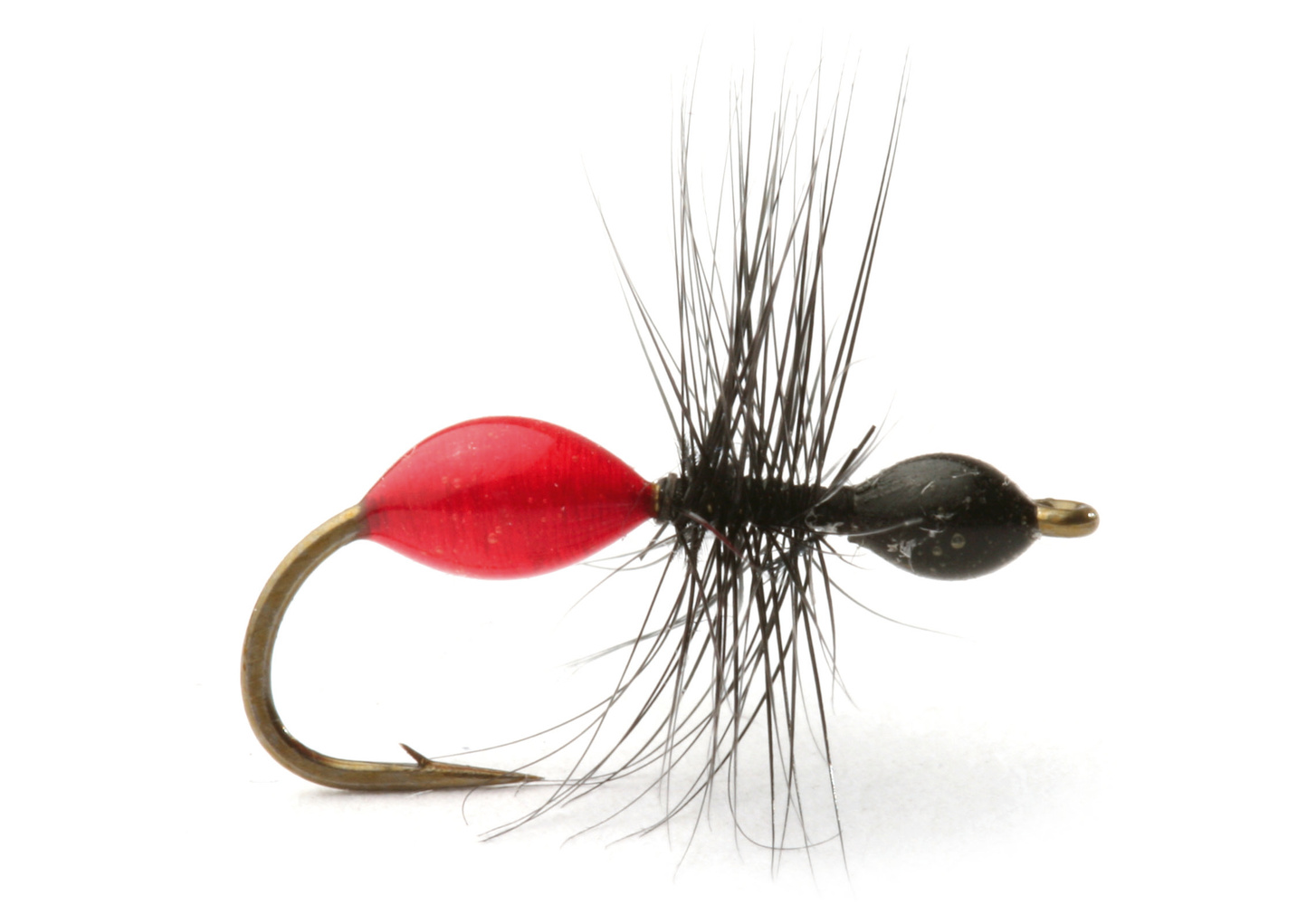 Transparant Ant Black/Red #14 (slide 1 of 1)