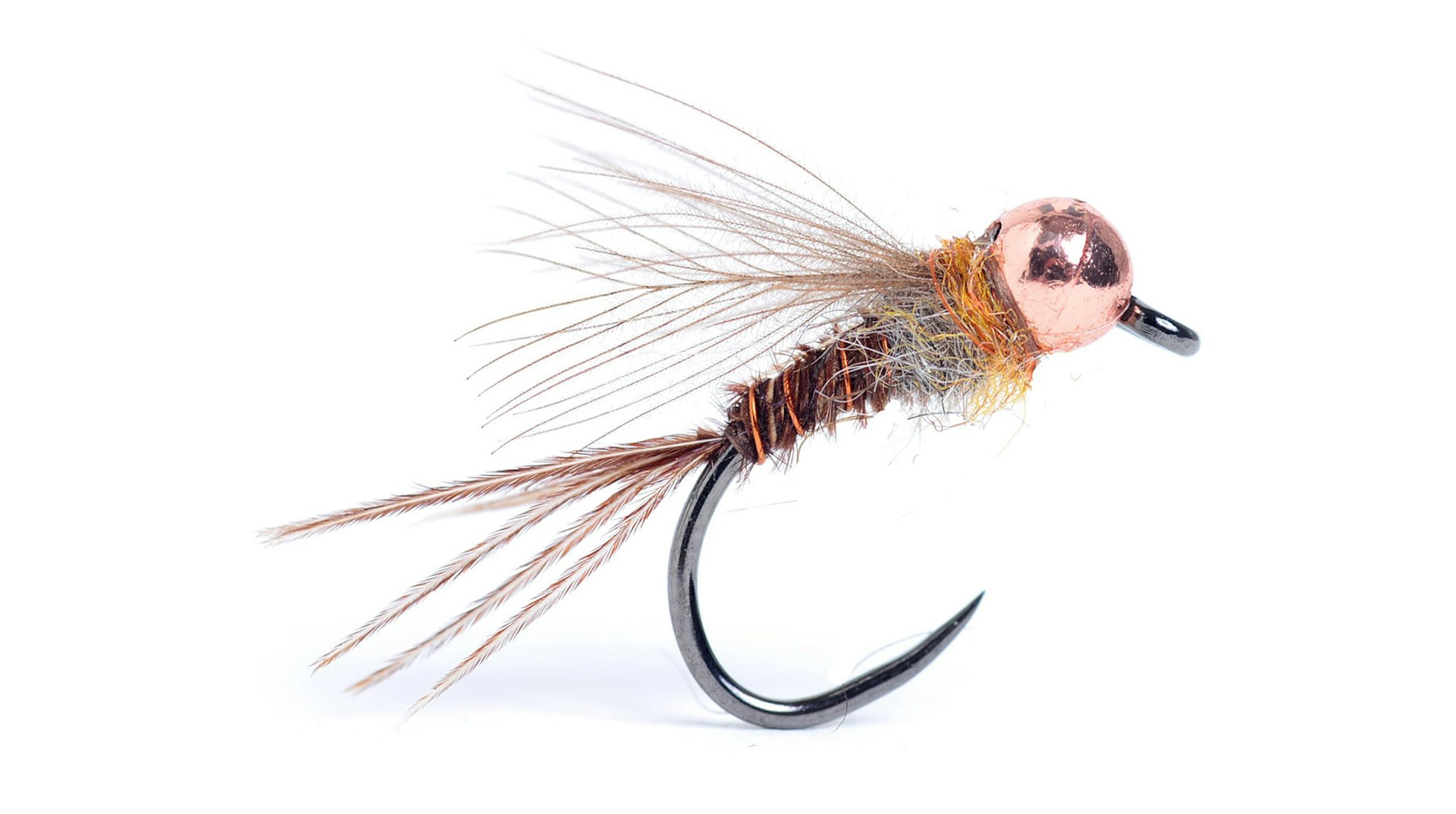 Sweet Pheasant