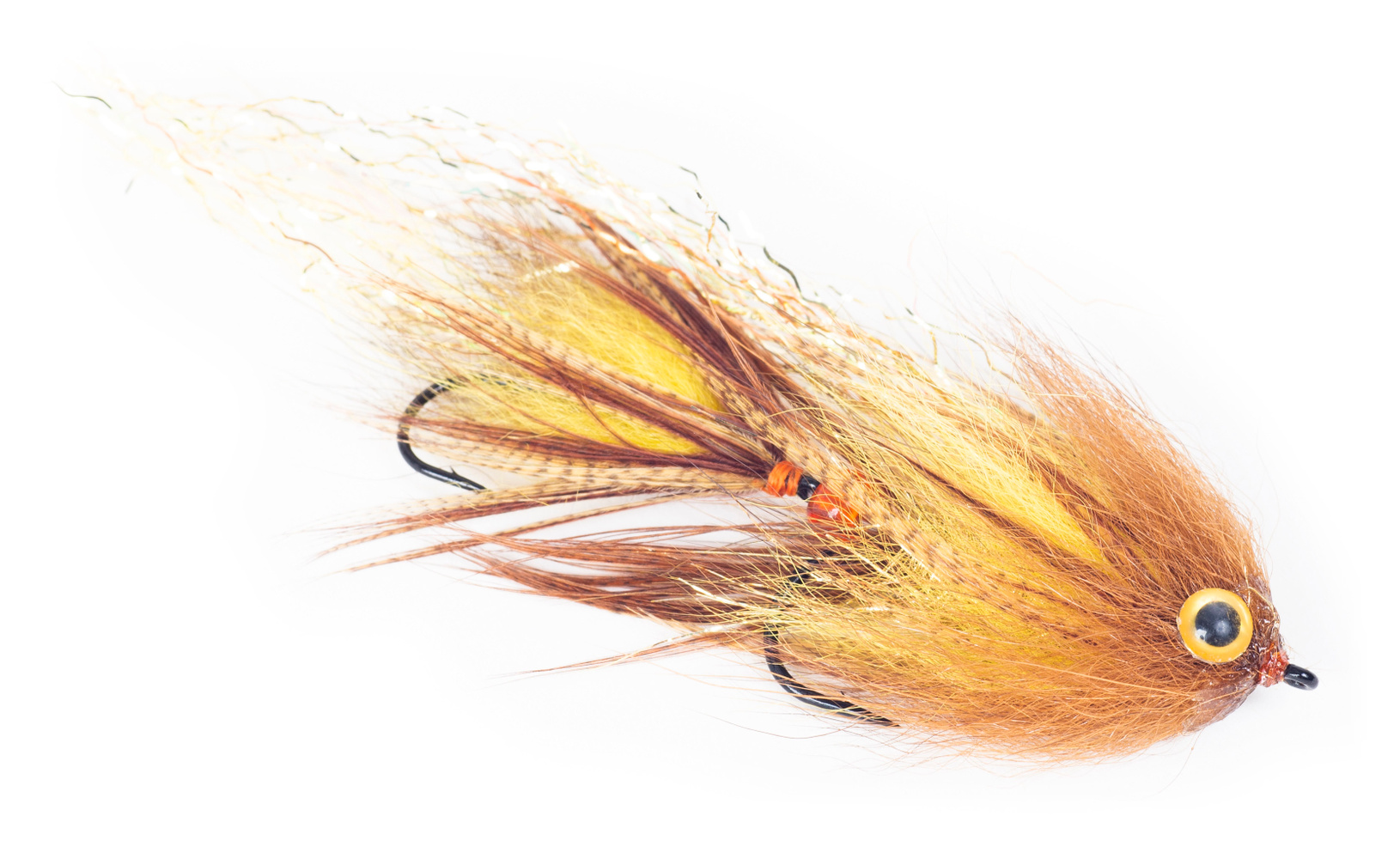 SWIM COACH BABY BRN/YEL #4 X#6