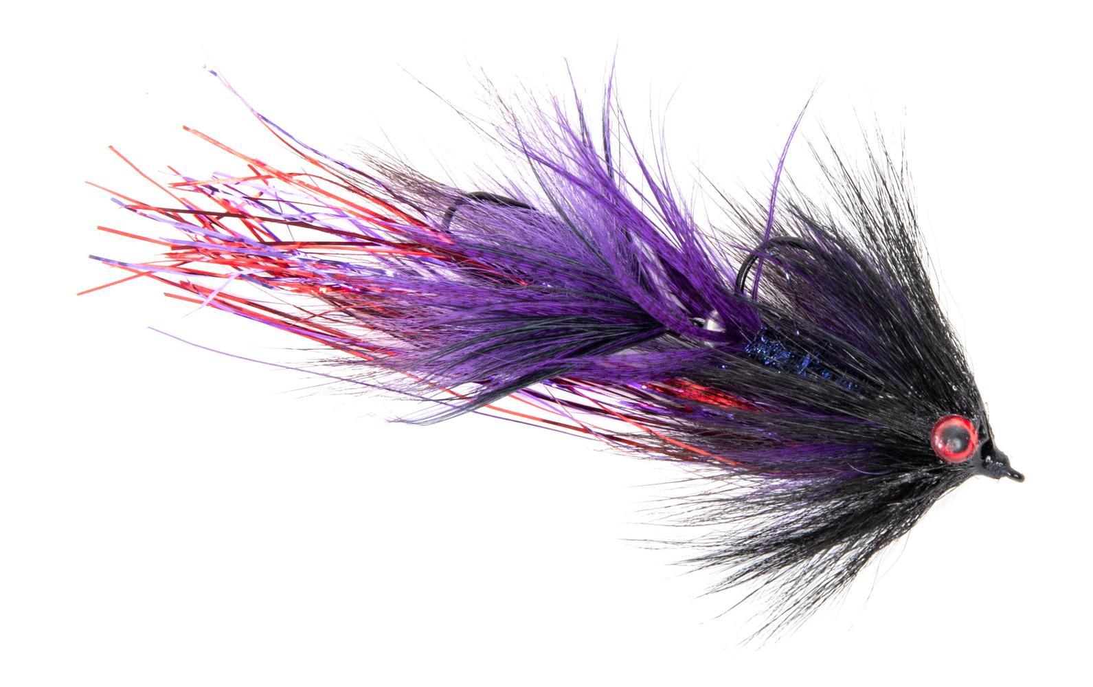 SWIM COACH BABY PUR/BLACK #4 X #6